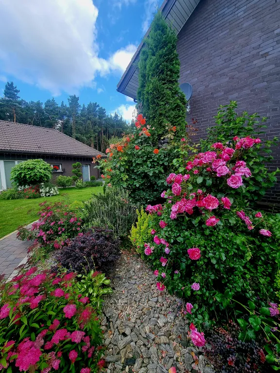 Brest dream garden. Атмосферный гестхаус с шикарным видом на лес