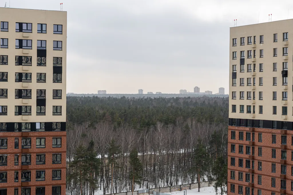 Солнечная студия Небo в ЖК Томилино парк