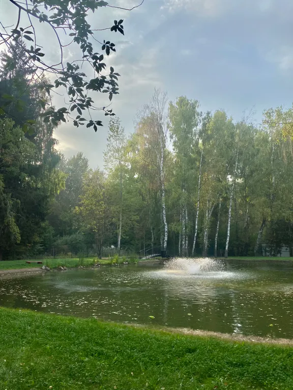 Уютный домик в лесу у пруда