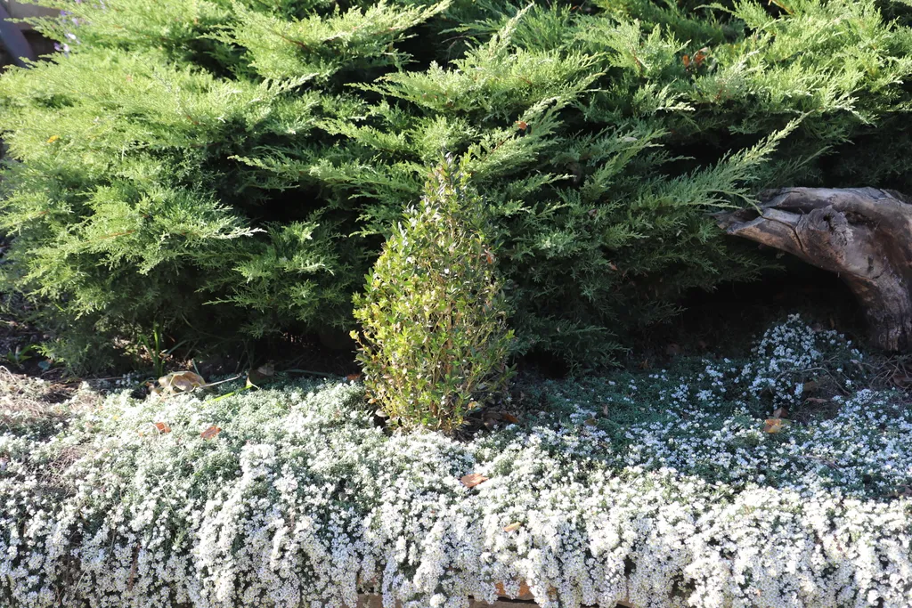 Загородный дом-шале "Pinebrook", аренда, у реки Дон. Сезонный бассейн.