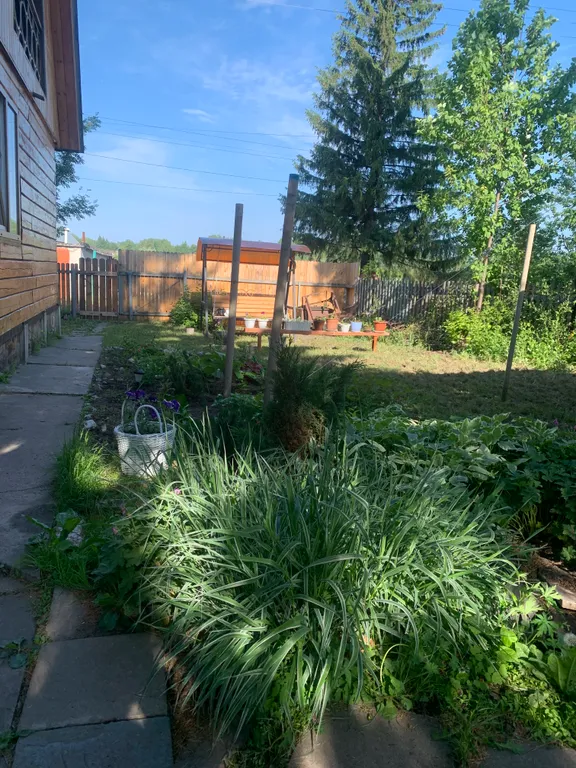 Живописный дом на природе недалеко от города