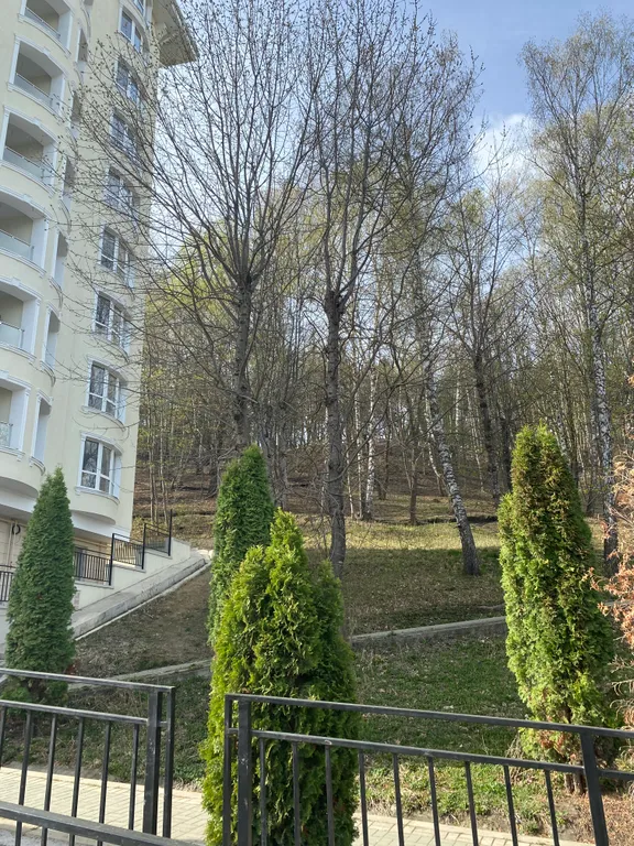 Лесная сказка