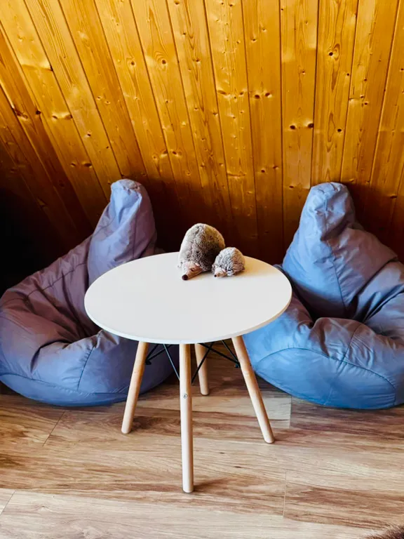 Дом с баней, караоке, PlayStation и Алисой на берегу моря