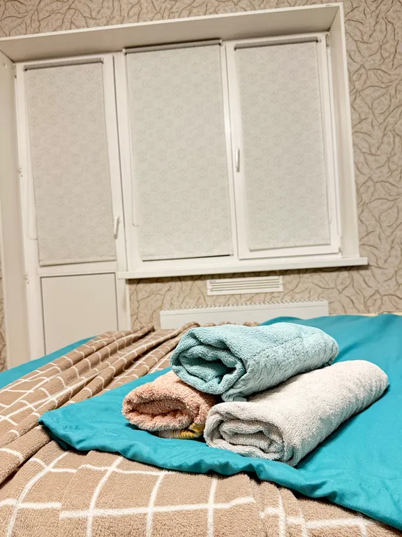 Квартира Уютная квартирка в центральном районе города — Омск