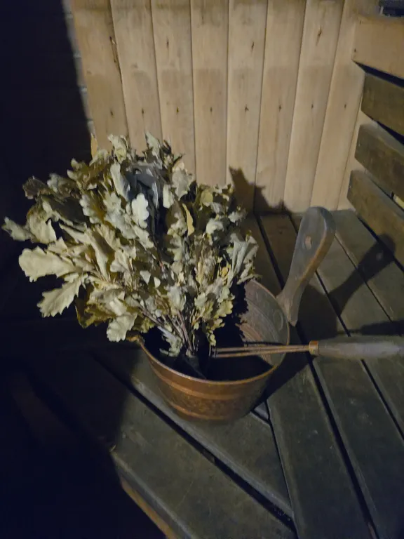 Загородный дом с баней