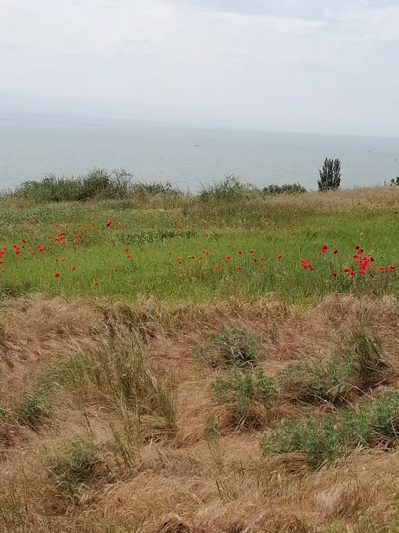 Апартаменты с отдельным входом