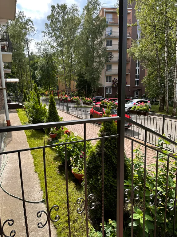 Квартира Апартаменты Море — Светлогорск