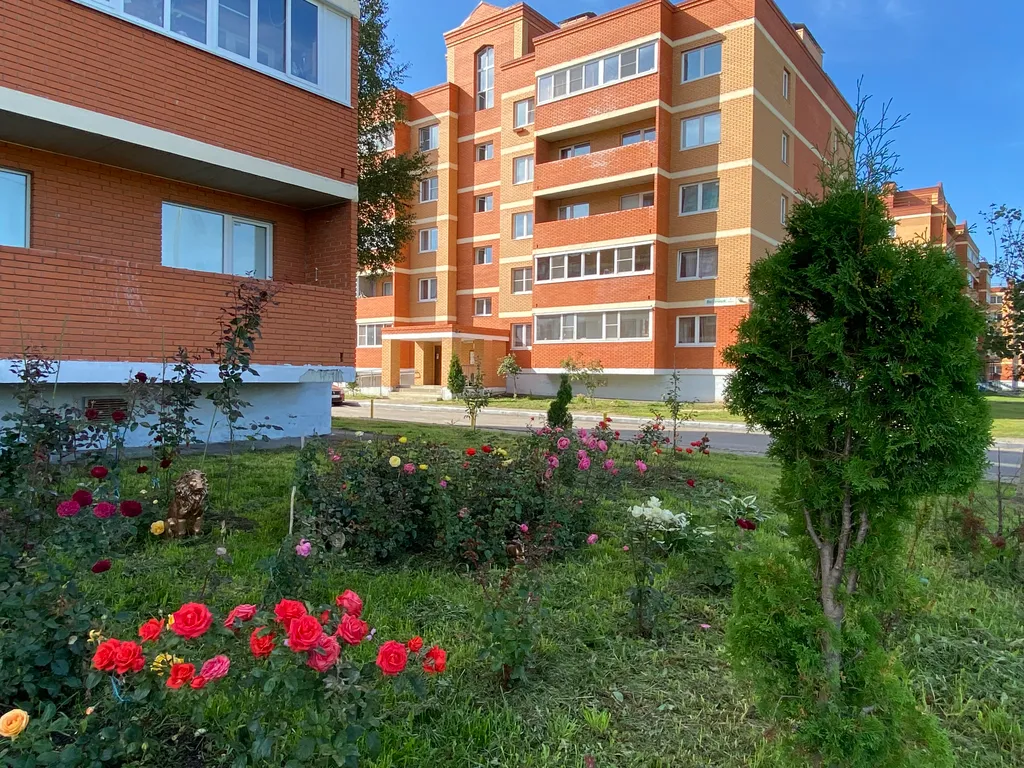 Атмосфера лета