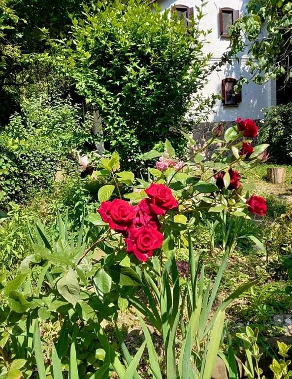 Коттедж Двухэтажный дом с уютным двориком в окружении зелени — аренда посуточно в Лазаревское