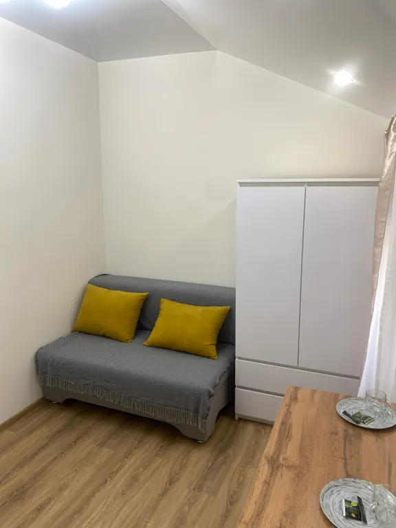 Уютная студия в центре города легендарная "миллионка"