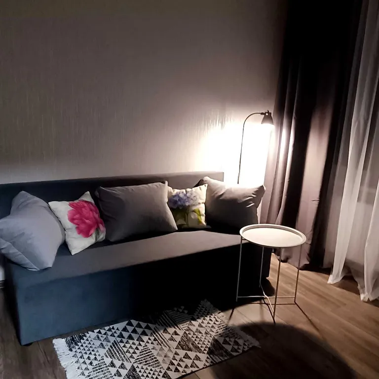 Уютная однокомнатная квартира