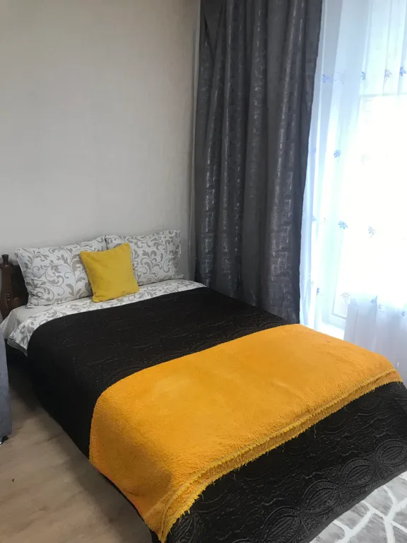 Апартамент в центре, парк им. Ленина