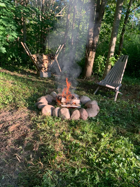 Дом с панорамными окнами в окружении леса