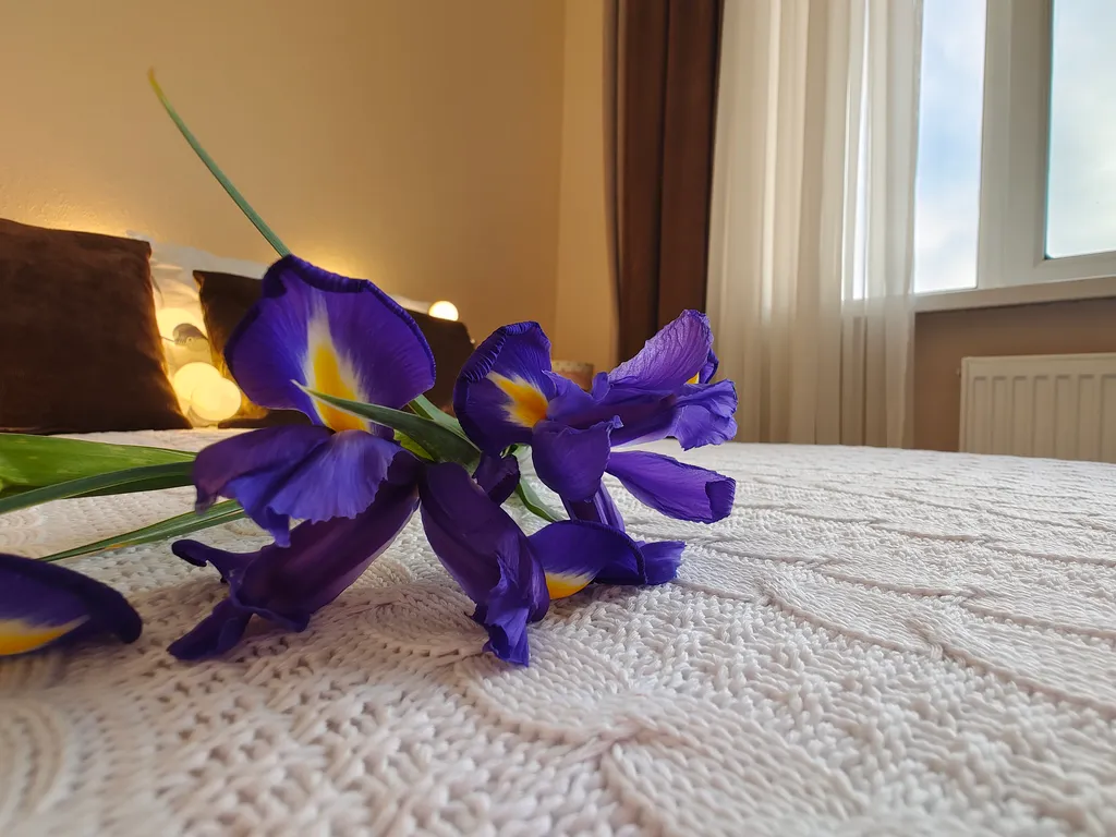 Квартира Комната — Анапа