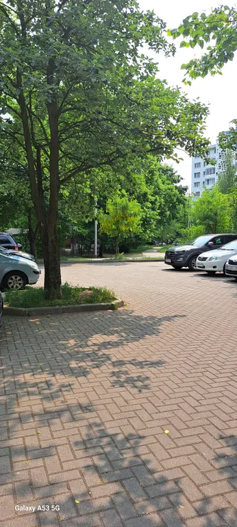 Квартира Уютная квартира в центре с красивым видом на город — Калининград