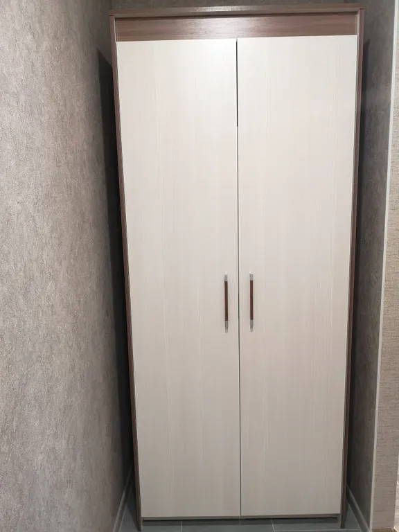 Квартира 1-комнатная Квартира — Карасук