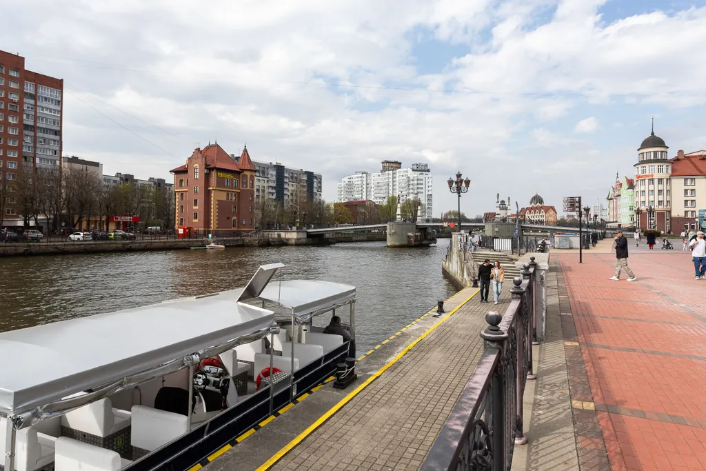 Квартира Уютная, светлая квартира в историческом центре города — Калининград