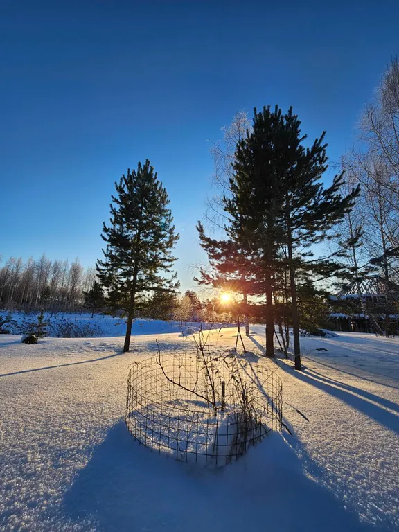 Домик в лесу