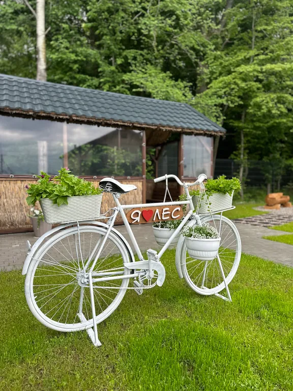 Дом в лесу с баней и бассейном