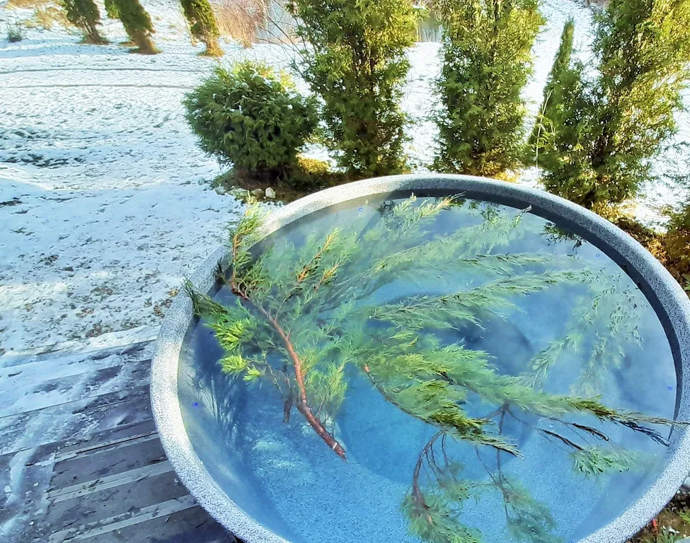 Теплый деревянный дом у воды