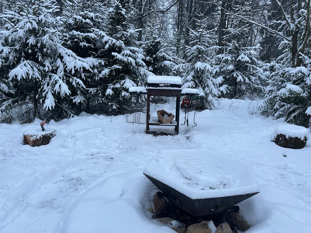 Дом Вапити - уютный коттедж на отдельном лесном участке