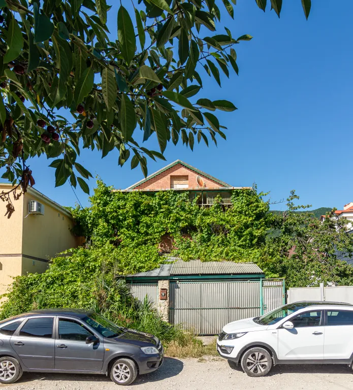 Большой дом для большой компании