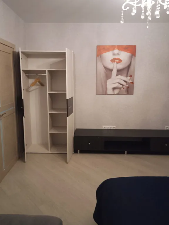 Квартира с хорошим ремонтом