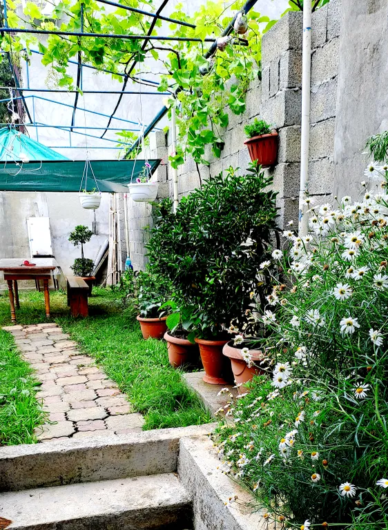 Квартира Уютная комната с двориком в частном доме — аренда посуточно в Сухум