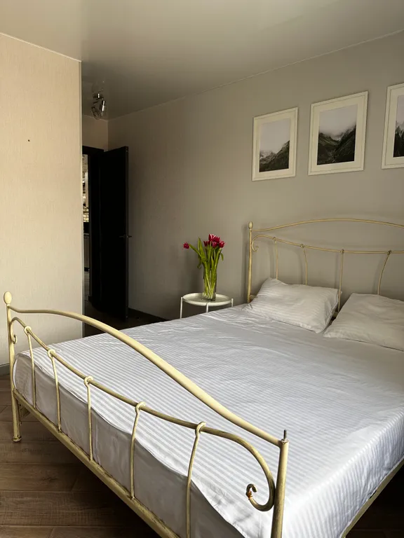 2-комнатные апартаменты-студия в центре города