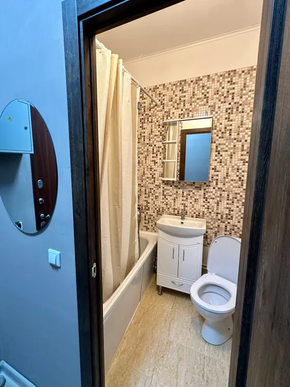 Квартира студия с видом на Неву