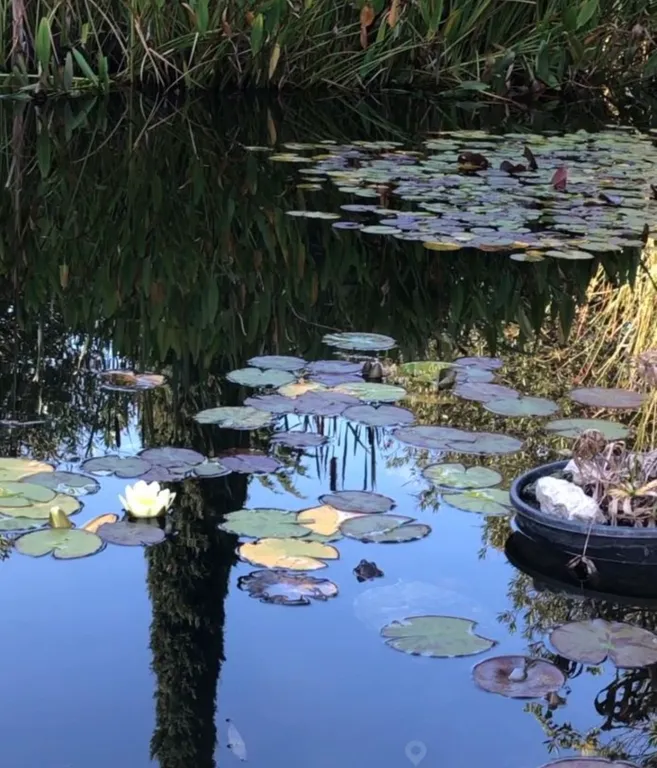 Квартира Квартира Уютный апартамент с камином у моря — Сириус