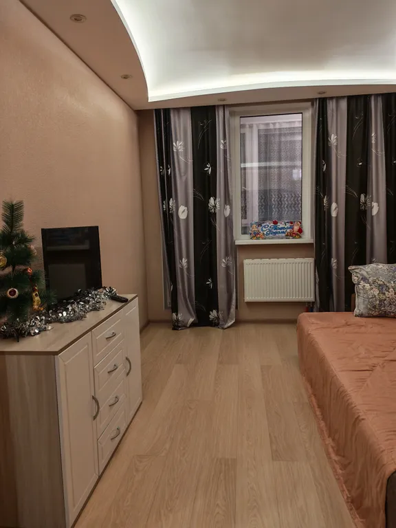 Квартира с кухней-гостиной рядом с озером Разлив