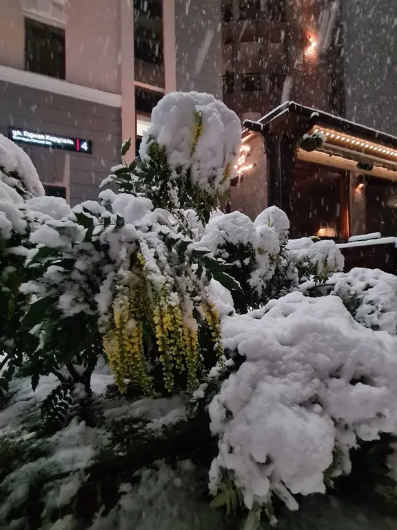 New студия в стиле шале