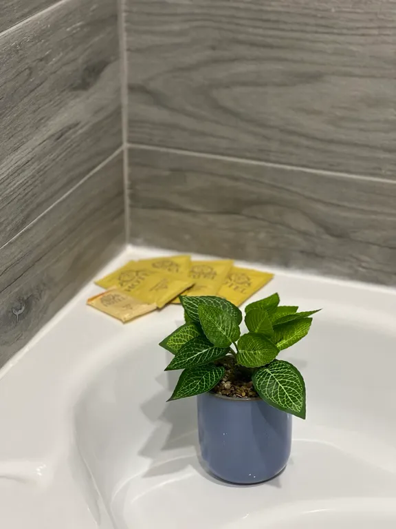 Апартаменты Магия