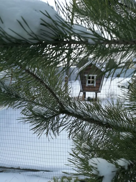 Уютный дом на берегу озера с баней на дровах