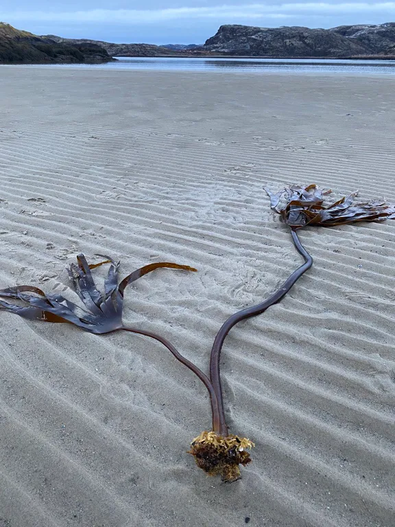 Мини дом для путешественников