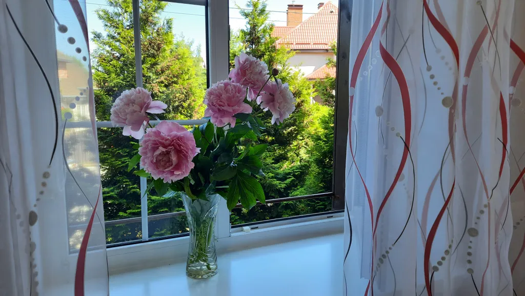 Апартамент на море