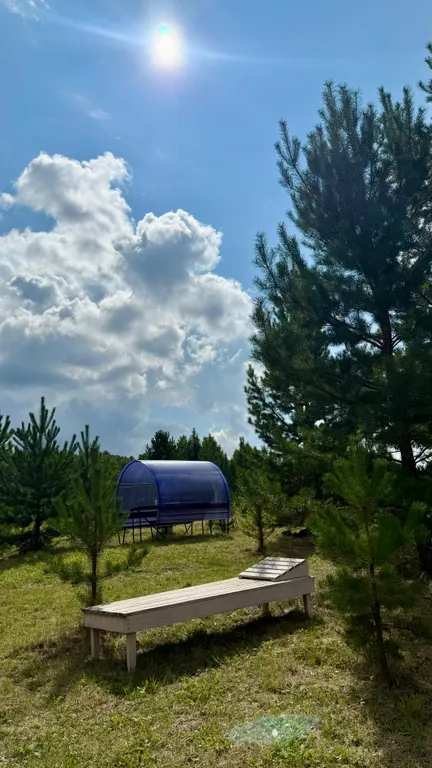 Дом на большом лесном участке Дача интроверта