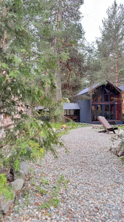 Уютный домик в лесу