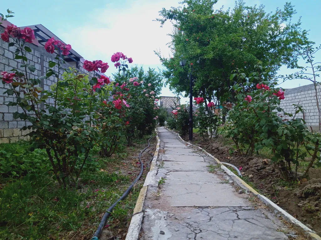 Дача для вашего отдыха