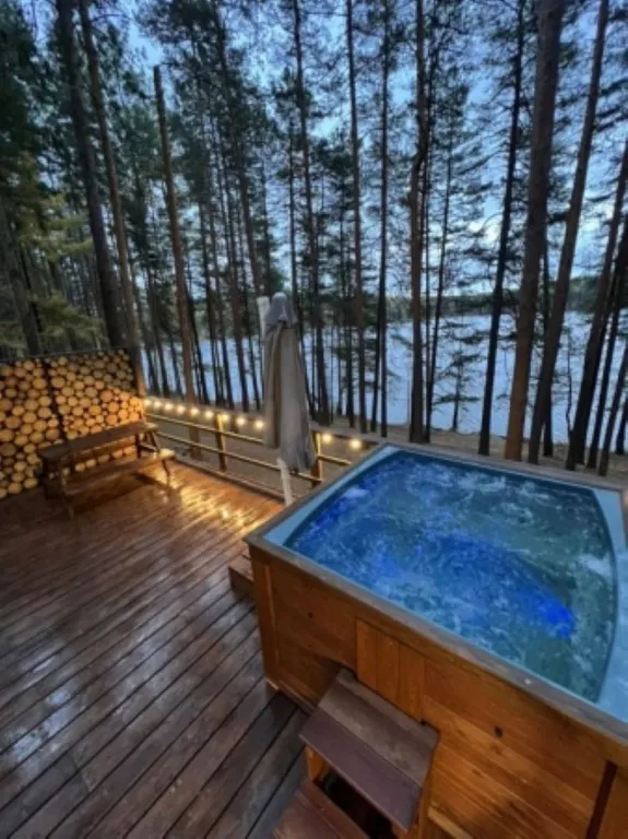 Уютные дома на берегу озера в сосновом лесу