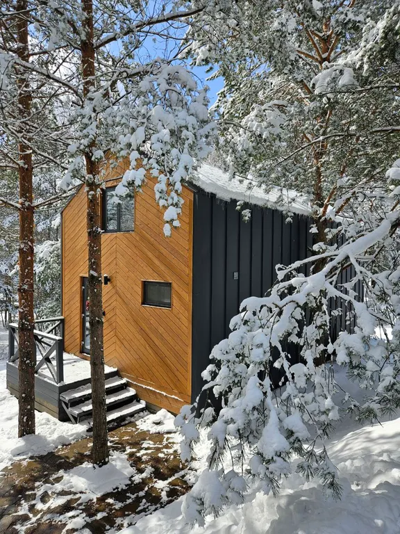 Коттедж Уютный дом с огромными окнами и невероятным видом на лес — аренда посуточно в Ковров