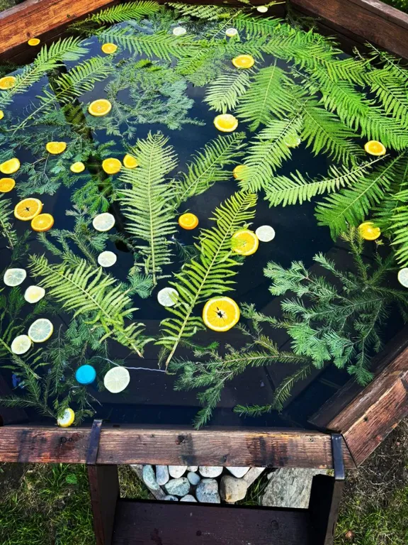 Дома возле Катуни среди гор