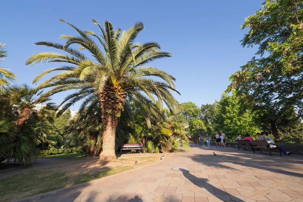 Студия с лучшим видом на море