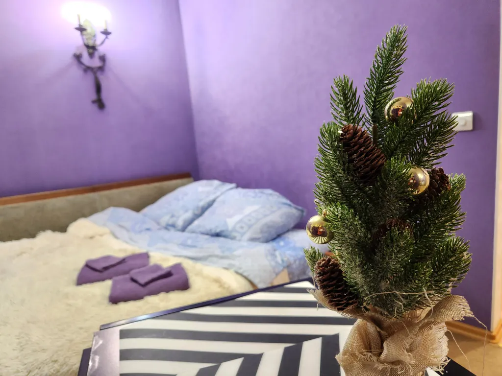 Квартира Студия Мармелад — аренда посуточно в Великий Новгород