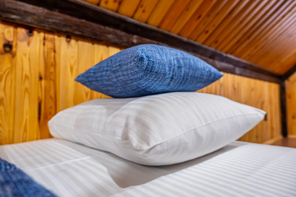 Дом для большой компании