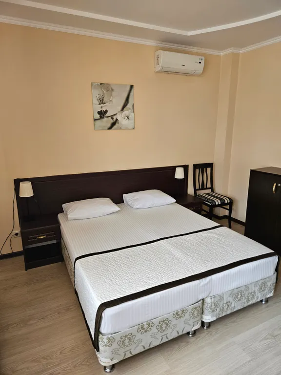 Апартамент в апарт-отеле Афалина