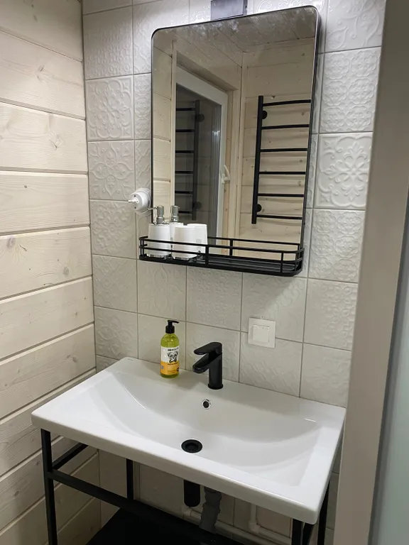 Снегири&Синички