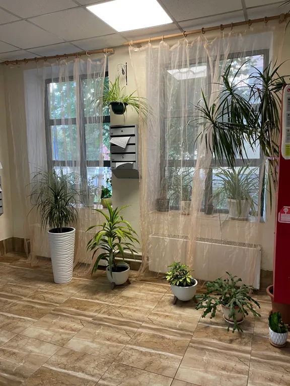 Погулять и поработать