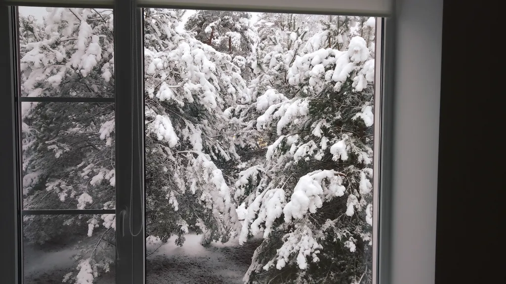 Эко Таунхаус Хитрый Лис Парк